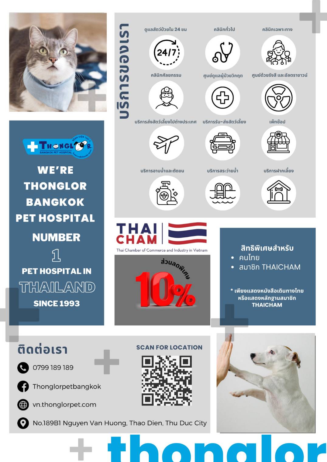 Thonglor Bangkok Pet Hospital