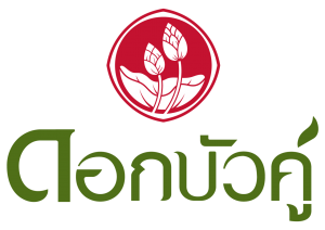 TWIN LOTUS COMPANY LIMITED